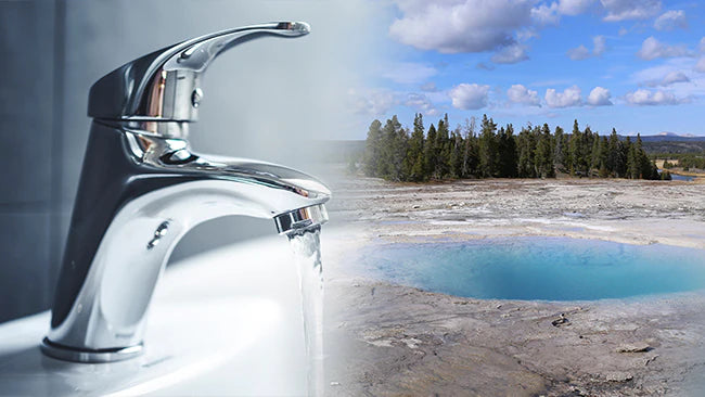 collection_list_items_homepage