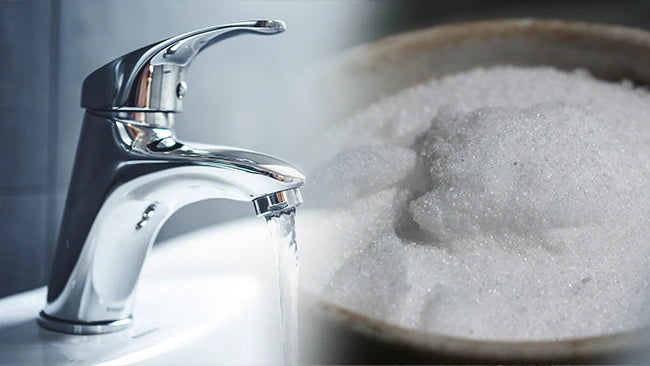 collection_list_items_homepage