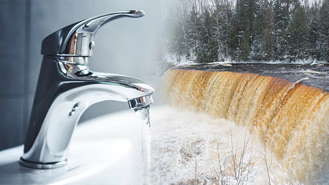 collection_list_items_homepage