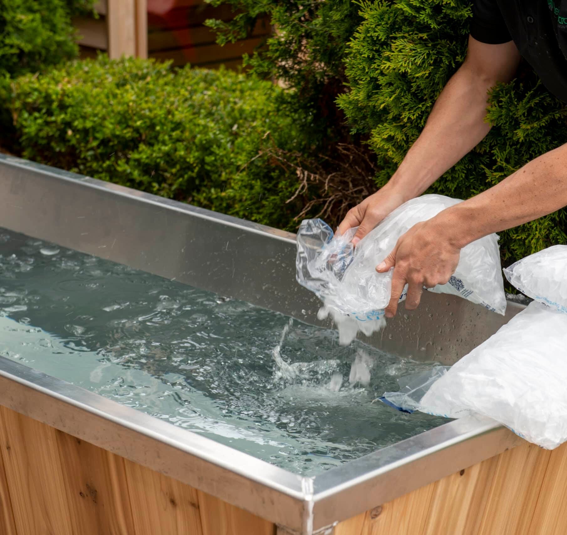 The Polar Plunge Tub