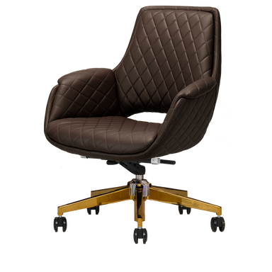 Chocolate colored salon customer chair with gold hardware