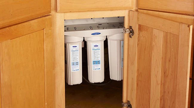 collection_list_items_homepage