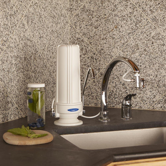 Fluoride Removal | SMART Single Cartridge Countertop Water Filter System
