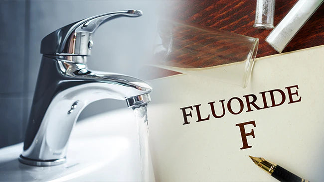 collection_list_items_homepage