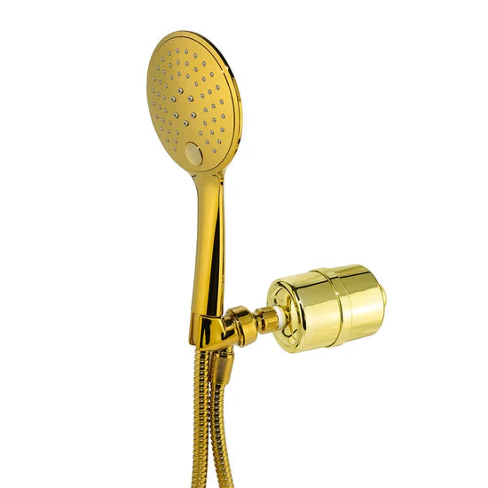 Handheld Shower Filter