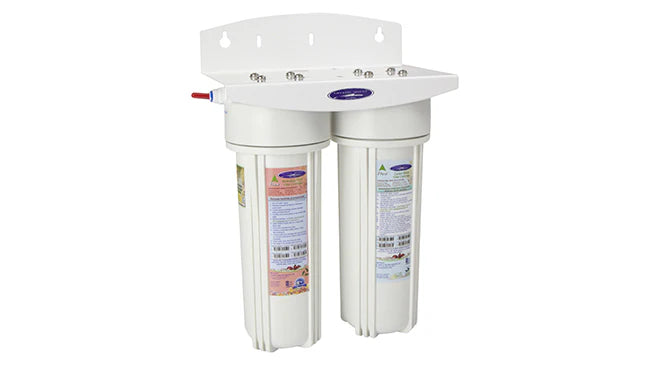 collection_list_items_homepage