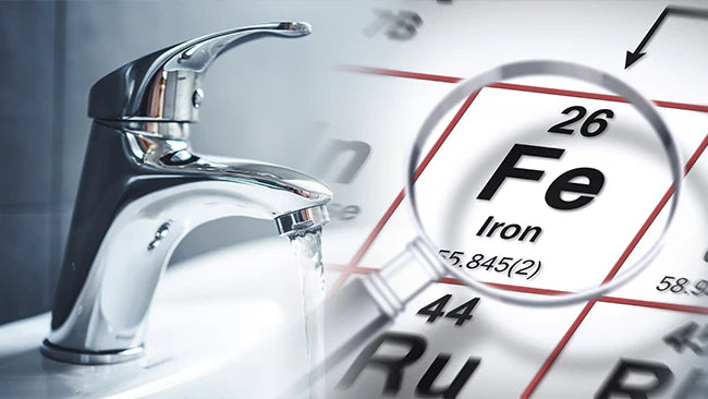 collection_list_items_homepage